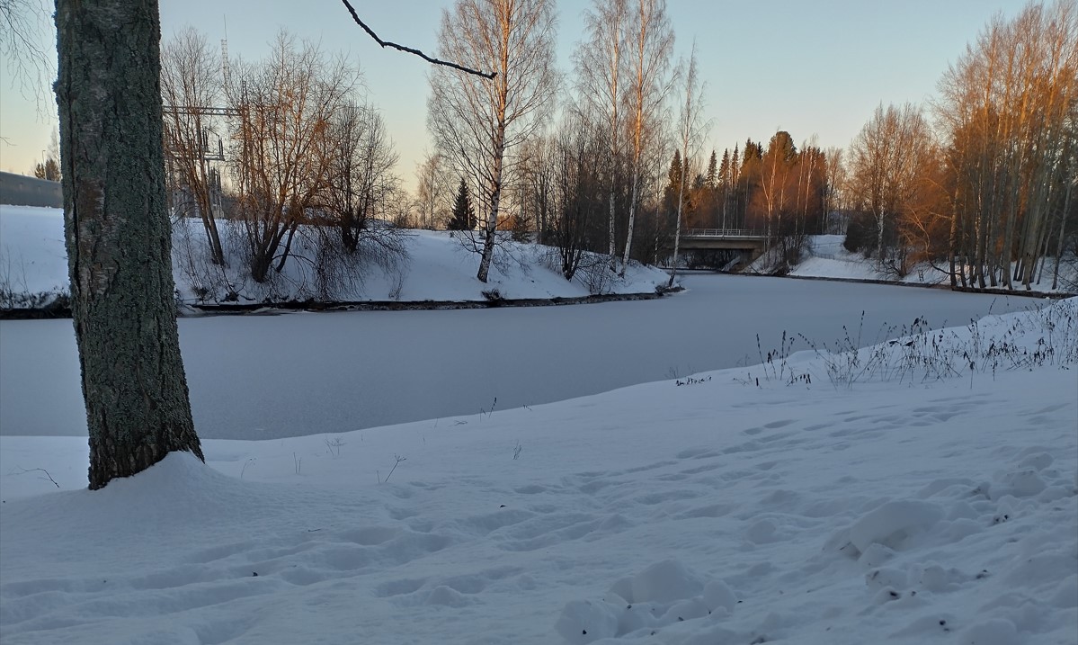 talvinen jokiranta, lunt aja puita.