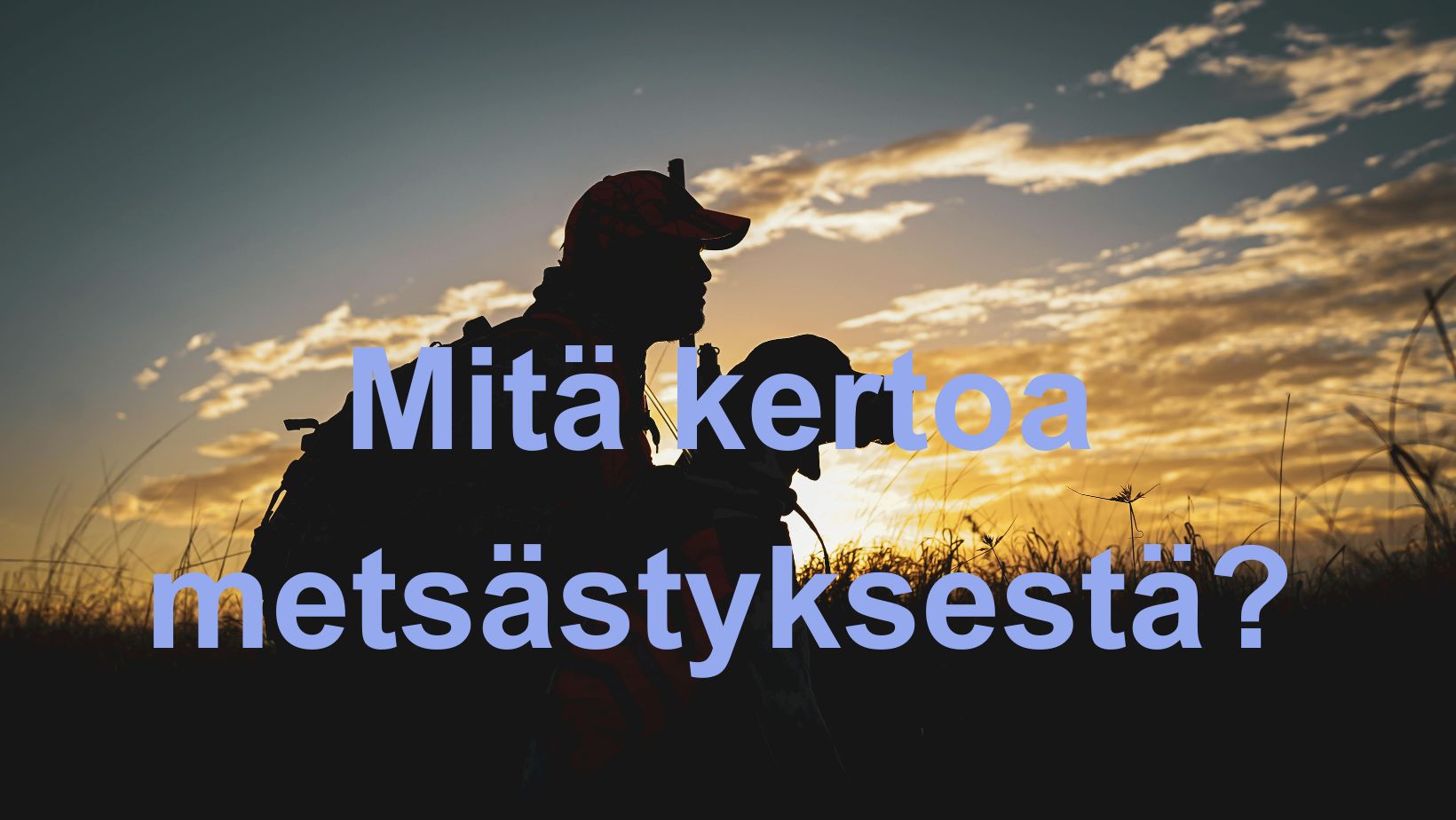 Mitä kertoa metsästyksestä? Metsästäjän ja koiran siluetti vasten auringonnousua.